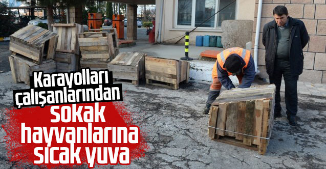 Uşak'ta Karayolu çalışanlarından sokak hayvanlarına sıcak yuva