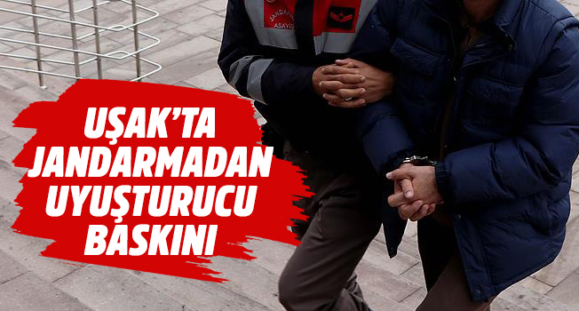 Uşak'ta jandarmadan uyuşturucu baskını