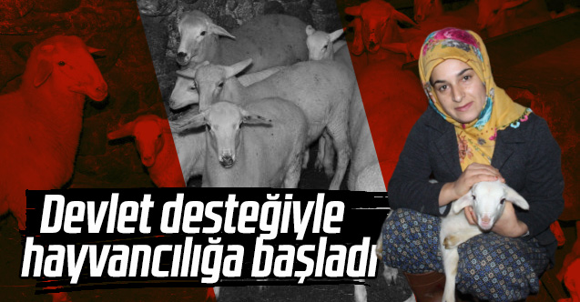 19 yaşında aldığı devlet desteğiyle hayvancılığa başladı