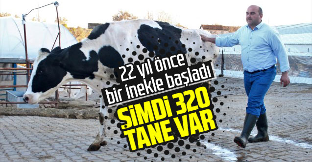 22 yıl önce bir inekle başladı, şimdi 320 tane var