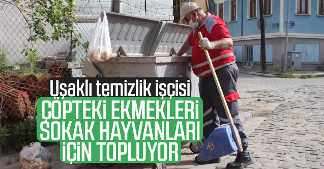 Temizlik işçisi çöpe atılan ekmekleri sokak hayvanları için topluyor