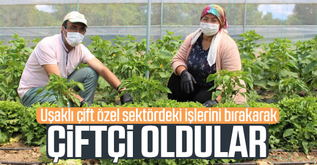 Uşaklı çift özel sektördeki işlerini bırakıp çiftçi oldu