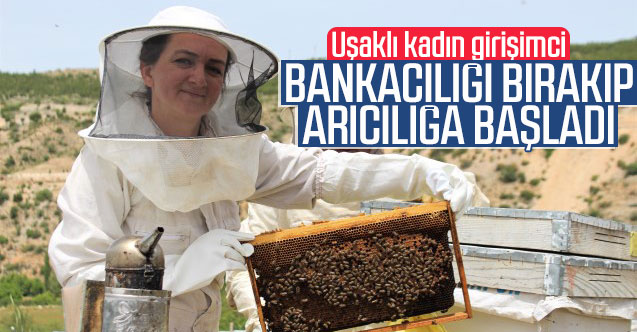 Bankacılığı bırakıp "arıcılık" yapmaya başladı