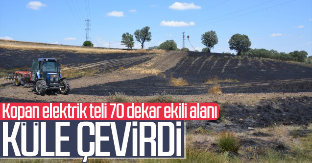 Kopan elektrik teli 70 dekar ekili alanı küle çevirdi