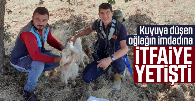Uşak'ta kuyuya düşen oğlak kurtarıldı