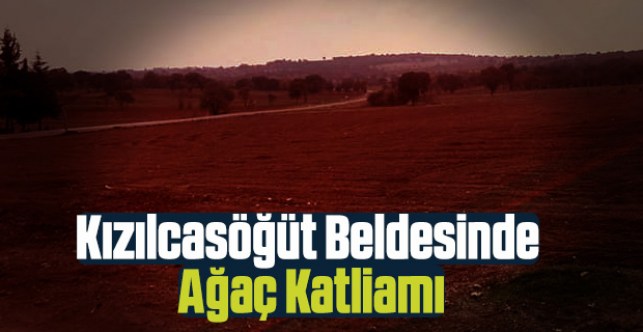 Kızılcasöğüt beldesinde ağaç katliamı