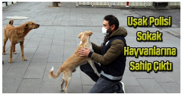Uşak'ta polislerden sokak hayvanları için farkındalık çalışması
