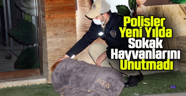 Uşak'ta polisler yeni yılda sokak hayvanlarını unutmadı