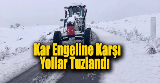 Kar engeline karşı yollar tuzlandı