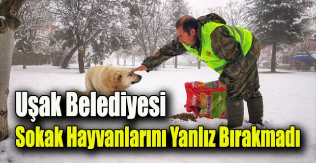 Uşak Belediyesi ekipleri karla mücadele ediyor