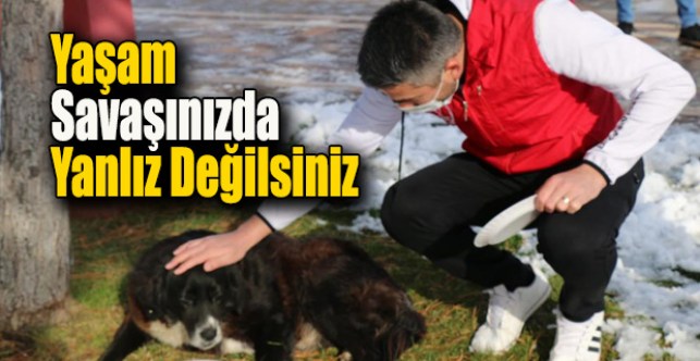 Sokakta yaşam savaşı veren canlar unutulmadı