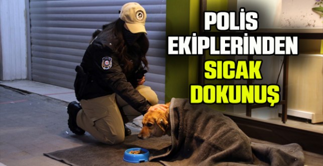 Uşak'ta polis ekipleri bazı sokak hayvanlarını battaniyeye sardı