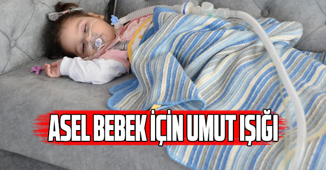 SMA Hastası Asel bebek için Sağlık Bakanı devreye girdi