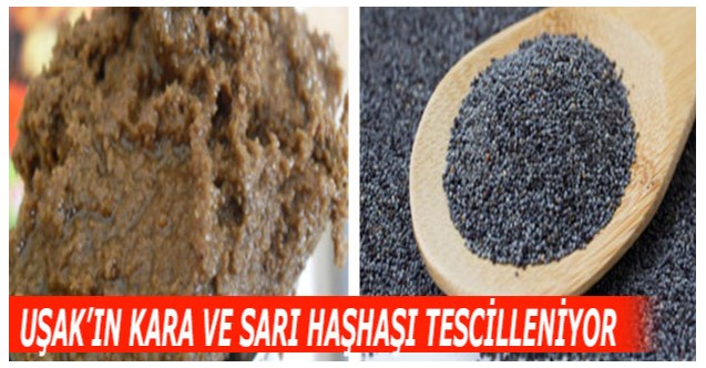 Uşak’ın kara ve sarı haşhaşı tescilleniyor