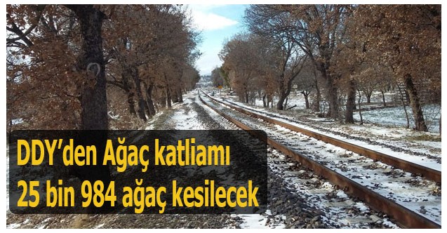 DDY’den Ağaç katliamı  25 bin 984 ağaç kesilecek