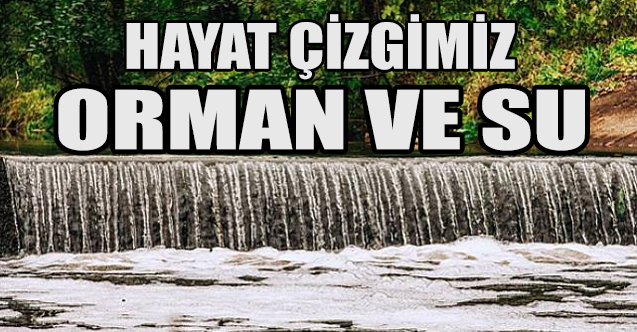 Hayat çizgimiz: Orman ve Su
