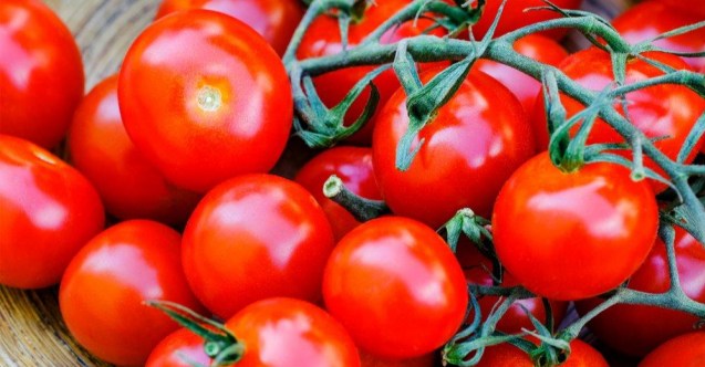 Domateste Yer Alan Likopen (Lycopene) Pankreatiti Önlüyor!