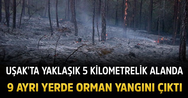 9 ayrı yerde orman yangını çıkması sabotaj mı kaza mı?