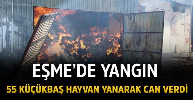 Eşme’de yangın: 55 küçükbaş hayvan yanarak can verdi
