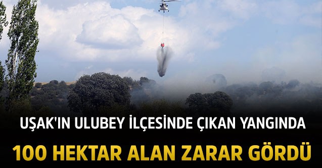 Uşak'ın Ulubey ilçesinde, tarım arazisi ve meşelik alanda çıkan yangın kontrol altına alındı.