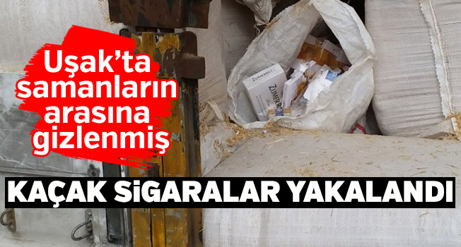 Uşak'ta kaçak sigara operasyonu