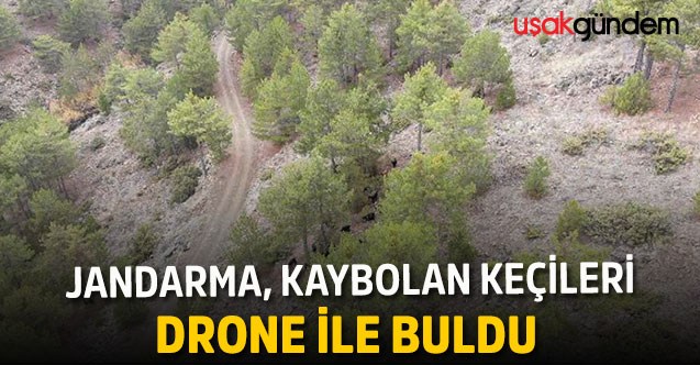 Jandarma, kaybolan keçileri drone ile buldu