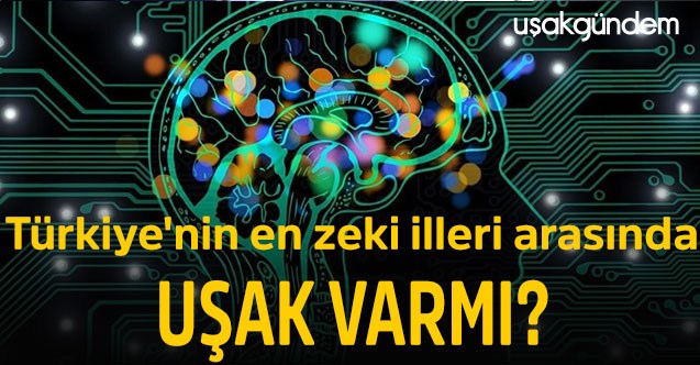 Türkiye'nin en zeki illeri arasında Uşak var mı?