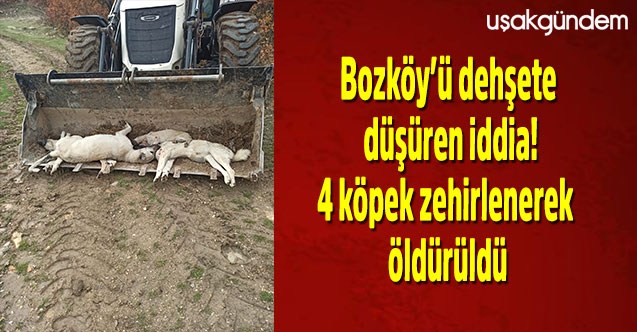Bozköy’ü dehşete düşüren iddia!