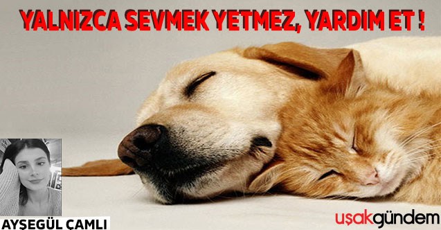 YALNZICA SEVMEK YETMEZ, YARDIM ET !