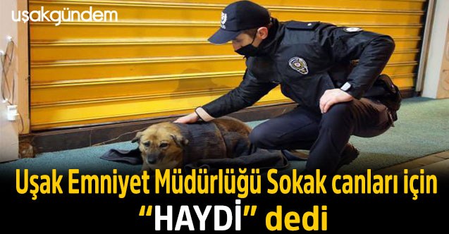 Uşak Emniyet Müdürlüğü Sokak canları için “HAYDİ” dedi