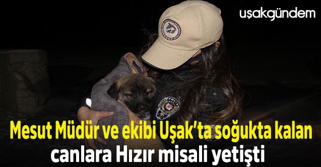 Mesut Müdür ve ekibi Uşak’ta soğukta kalan canlara Hızır misali yetişti