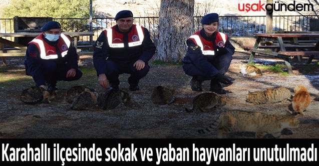 Karahallı ilçesinde sokak ve yaban hayvanları unutulmadı