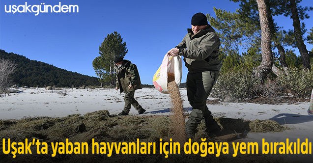 Uşak’ta yaban hayvanları için doğaya yem bırakıldı