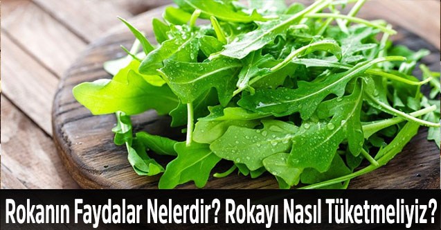 Rokanın Faydalar Nelerdir? Rokayı Nasıl Tüketmeliyiz?