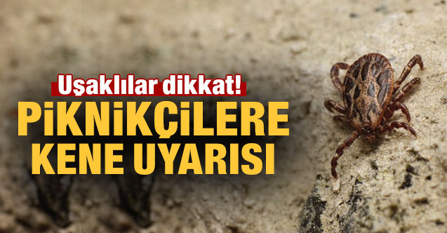 Uşak Sağlık Müdürü Dr. Sedat Kavas KKK konusunda piknikçileri uyardı