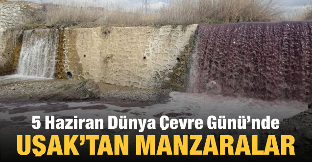 5 Haziran Dünya Çevre Günü'nde Uşak’tan manzaralar