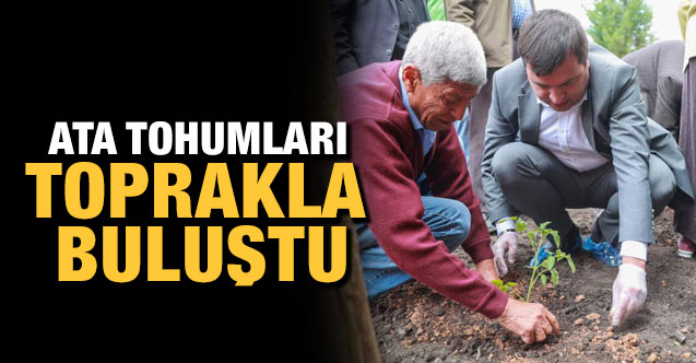 Ata Tohumları Toprakla Buluştu