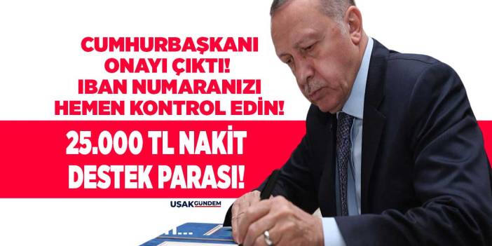 Cumhurbaşkanı onayı çıktı! TC kimlik numarası üzerinden 25.000 TL nakit para direkt IBAN'a yatacak