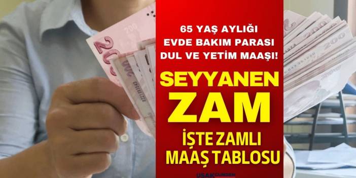 Engelli aylığı dul ve yetim maaşı 65 yaş evde bakım parası! Seyyanen zam geliyor işte yeni zamlı maaş tablosu