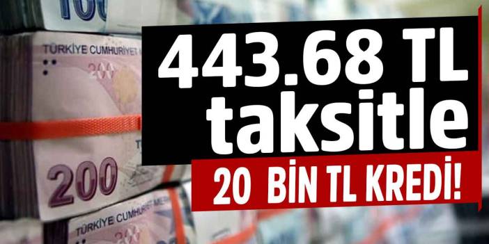 Ziraat Bankası Halkbank ve Vakıfbank'tan 60 ay vadeli destek kredisi! 443.68 TL taksitle 20.000 TL kredi