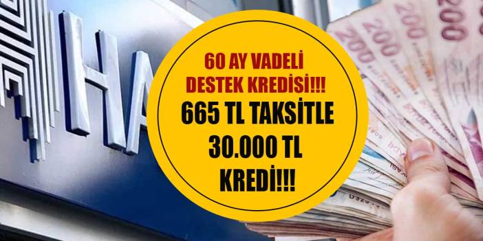 Halkbank kredi musluklarını açtı! Aylık 665 TL taksitle 60 ay vadeli 30.000 TL destek kredisi