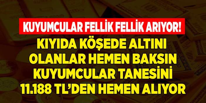 Kıyıda köşede yastık altında altın olan hemen kontrol etsin! Kuyumcular tanesini 11.188 TL'den fellik fellik arıyor