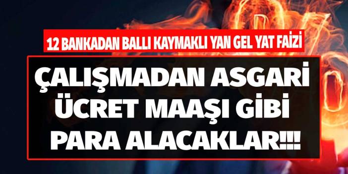12 bankadan ballı kaymaklı yan gel yat faizi! Parası olan 32 günlük faiz ile yan gelip yattığı yerden asgari ücret maaşı alacak