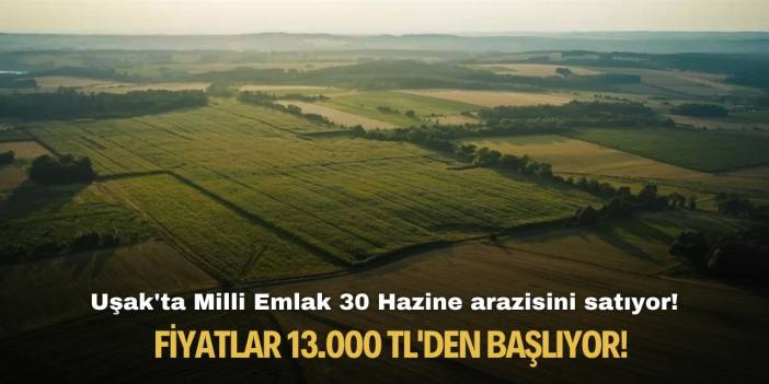Uşak'ta Milli Emlak 30 Hazine arazisini satıyor! Fiyatlar 13.000 TL'den başlıyor!