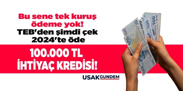 Bu sene tek kuruş ödeme yok! TEB'den şimdi çek 2024'te öde 100.000 TL ihtiyaç kredisi