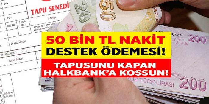 Tapusunu kapan Halkbank'a koşsun! Tapusu olanlara 50.000 TL nakit destek ödemesi yapılacak