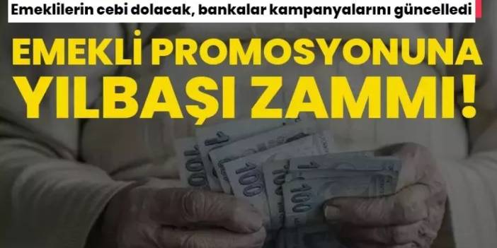 Garanti Denizbank ING Akbank Yapı Kredi TEB Ziraat Bankası emekli promosyon! Yıl sonu rakamları