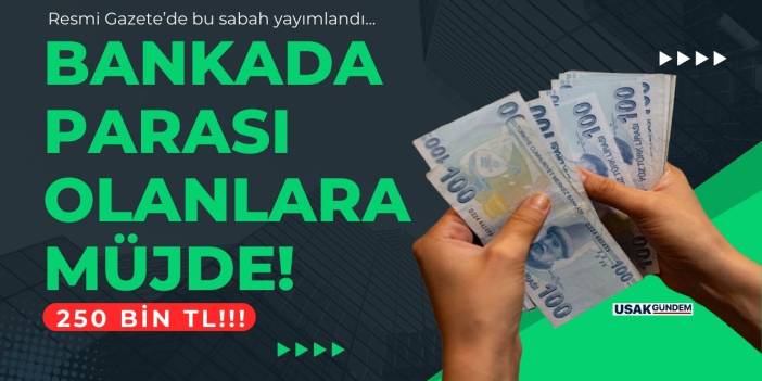 Bankada parası olanlara müjde! Güzel haber 00.01'de Resmi Gazete'de yayımlandı 250 bin TL...