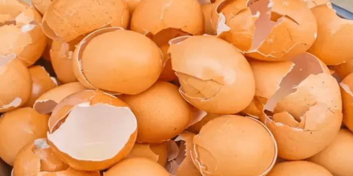 Yumurta kabuklarını SAKIN çöpe atmayın sebebi sizi çok şaşırtacak