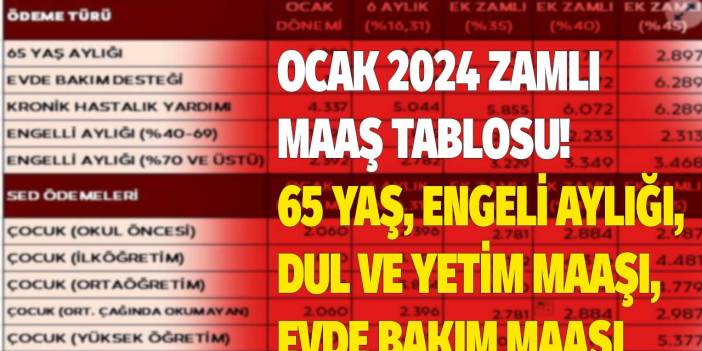 Evde bakım parası SED engelli maaşı 65 yaş maaşı dul ve yetim aylığı! Küsuratı küsuratına 2024 Ocak zamlı maaş listesi